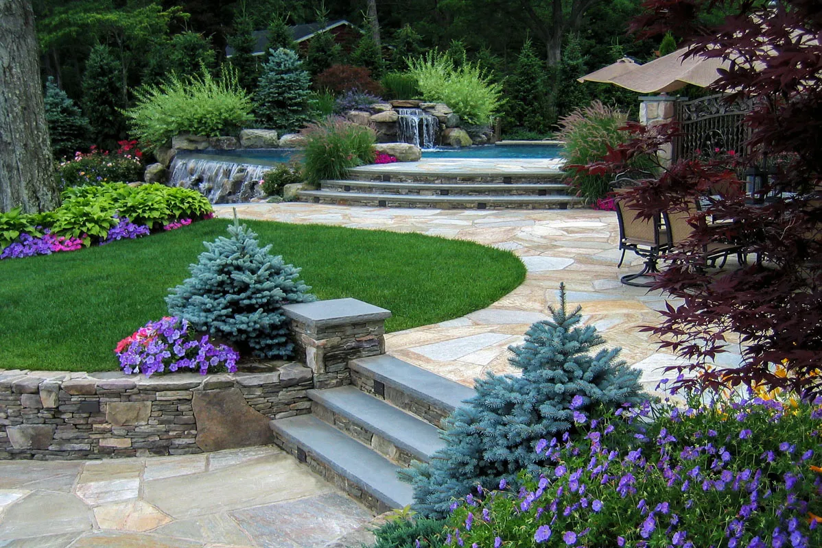 Aerial view of an ornamental lawn and plantings