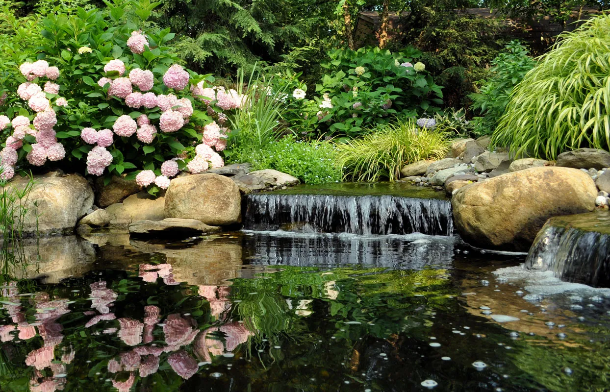 Water Features